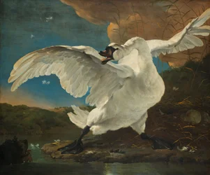 Le Cygne menacé ; interprété plus tard comme une allégorie de Johan de Witt